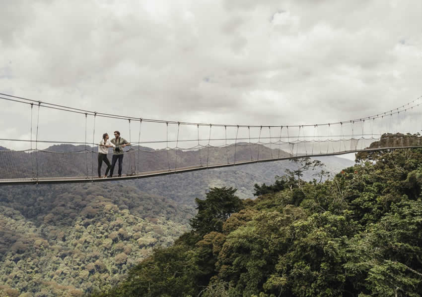 Nyungwe Forest National Park