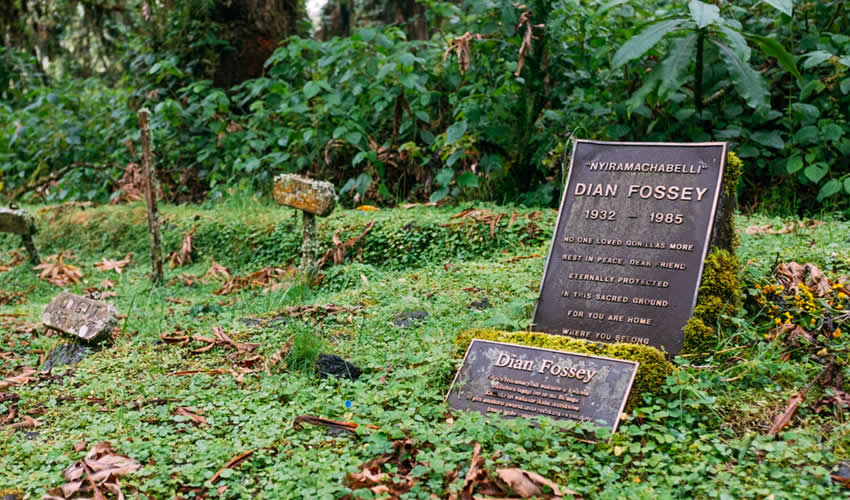 Hike to the Graveyard of Dian Fossey