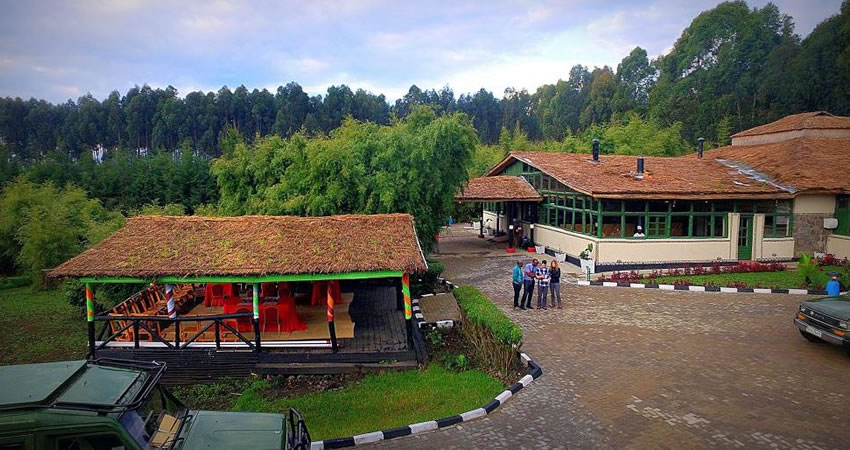 Le’Bambou Gorilla Lodge