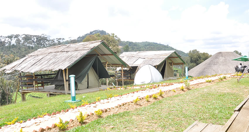 Nyungwe Nziza Eco Lodge