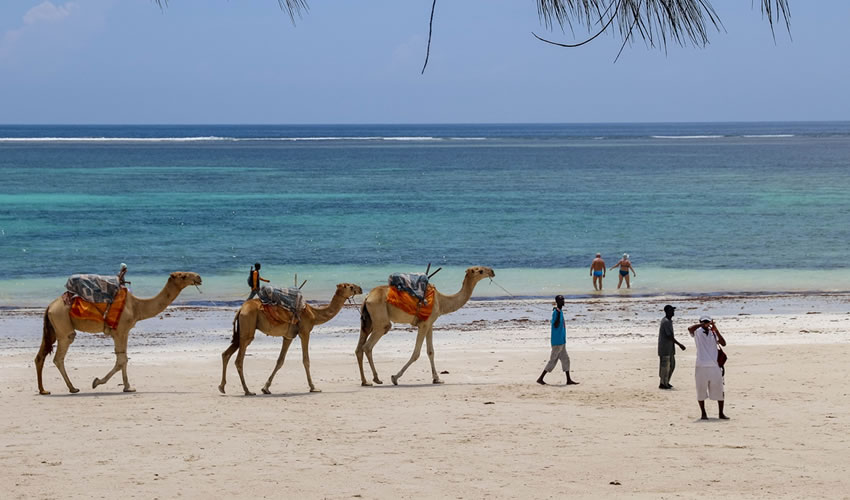 11 Days Beach Experience Safari in Kenya