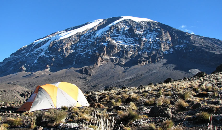 8 Days Kilimanjaro Hike and Zanzibar Beach Tour