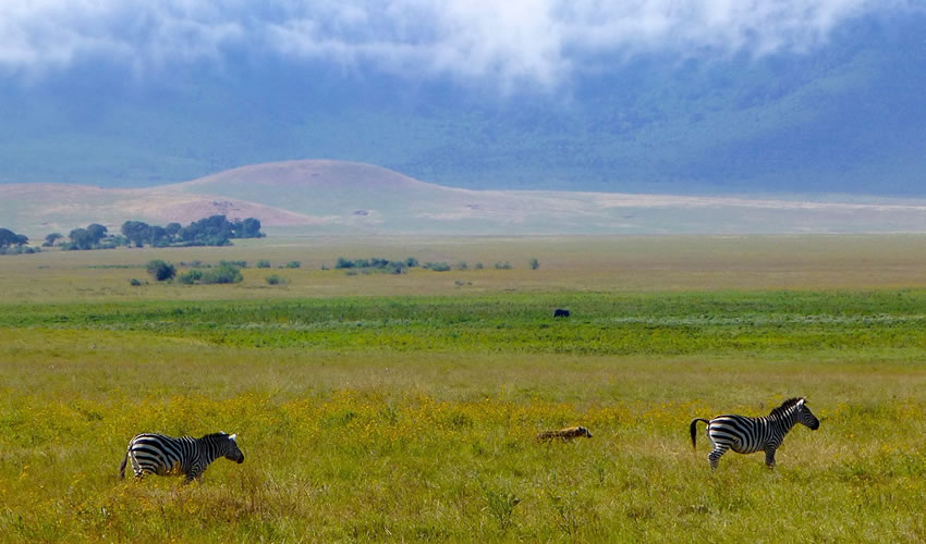 3 Days Serengeti National Park Safari