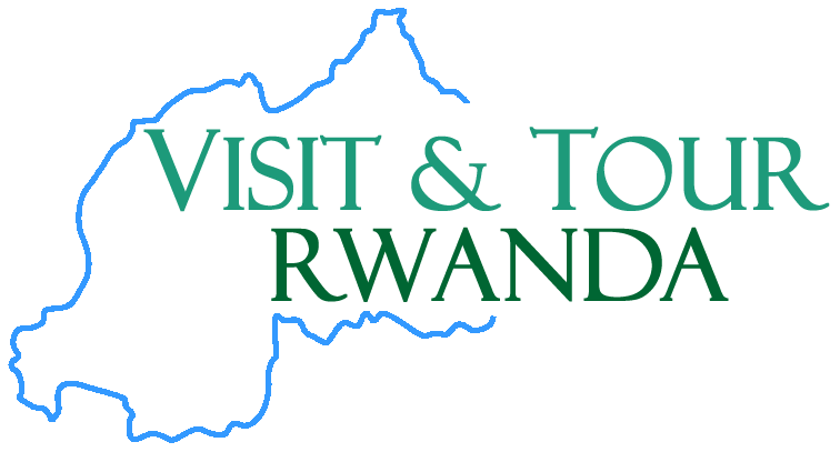 Gorilla Adventure Tours