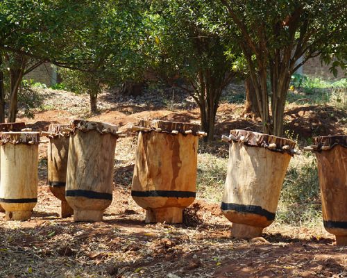 3 Days Burundi Safari Adventure