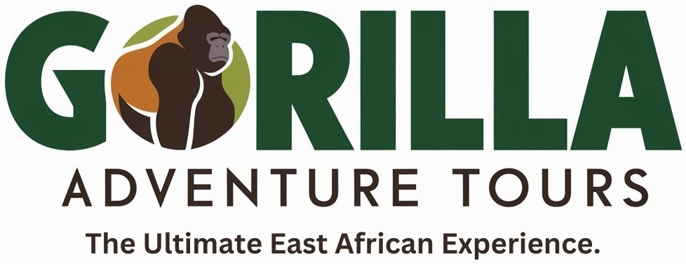 Gorilla Adventure Tours