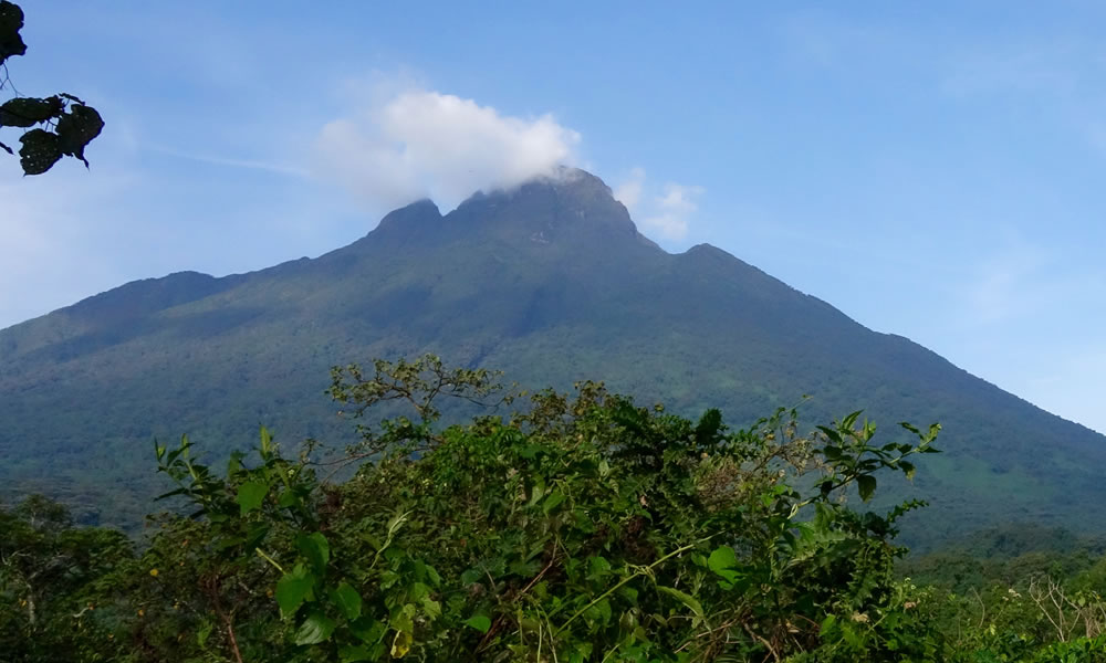 Volcano Mountain Hiking in Rwanda