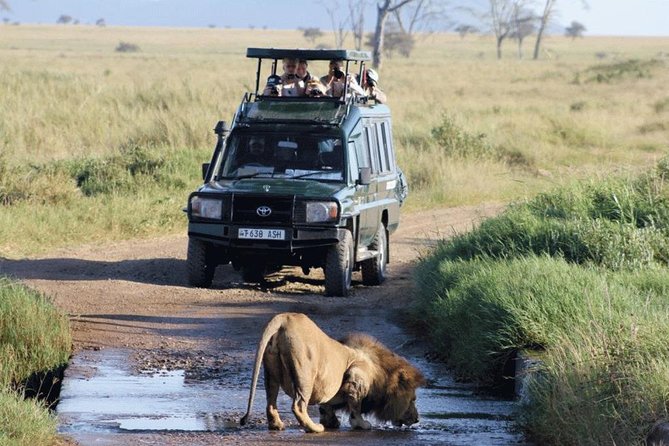 Kigali To Kisoro Car Rental, Safari Jeep Rental Uganda, 4x4 Car Rental Uganda