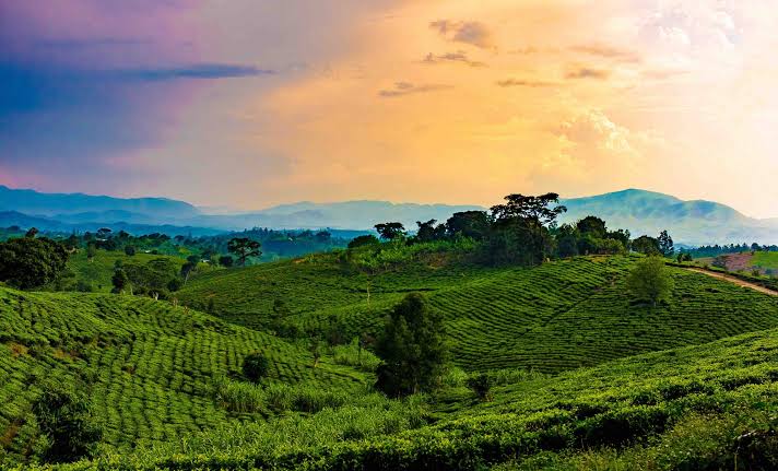 Rwanda Nyanza Royal Palace Tour: Royal History And Culture Tour