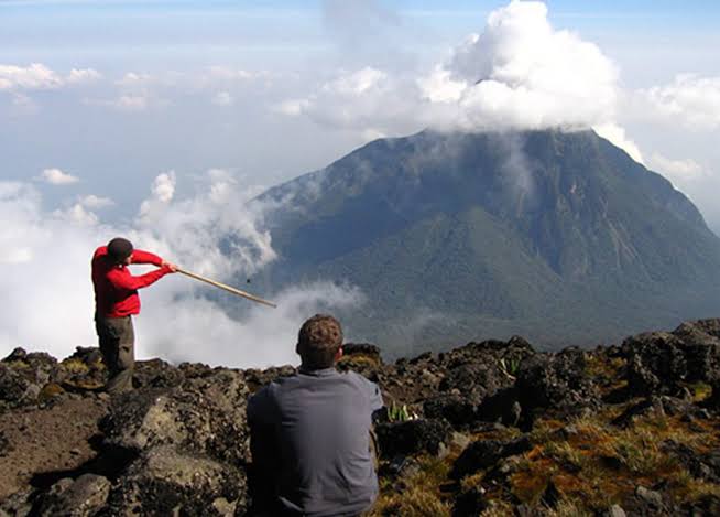 Volcanoes National Park Rwanda, Nyungwe Guided Forest Trail Rwanda